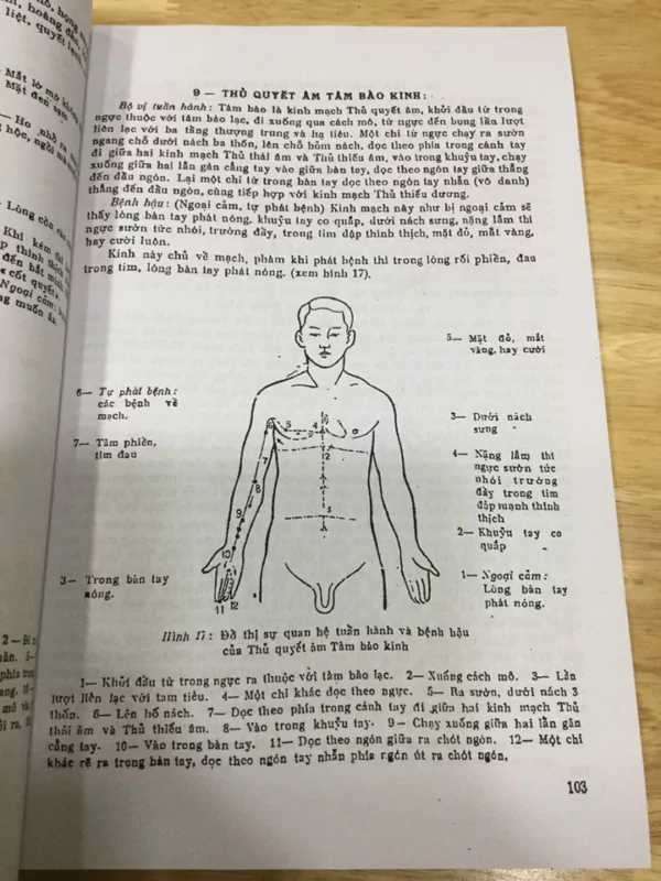 Trung Y Khái Luận Tập 1+2+3 (NXB Y Học 1961) - Ảnh 3