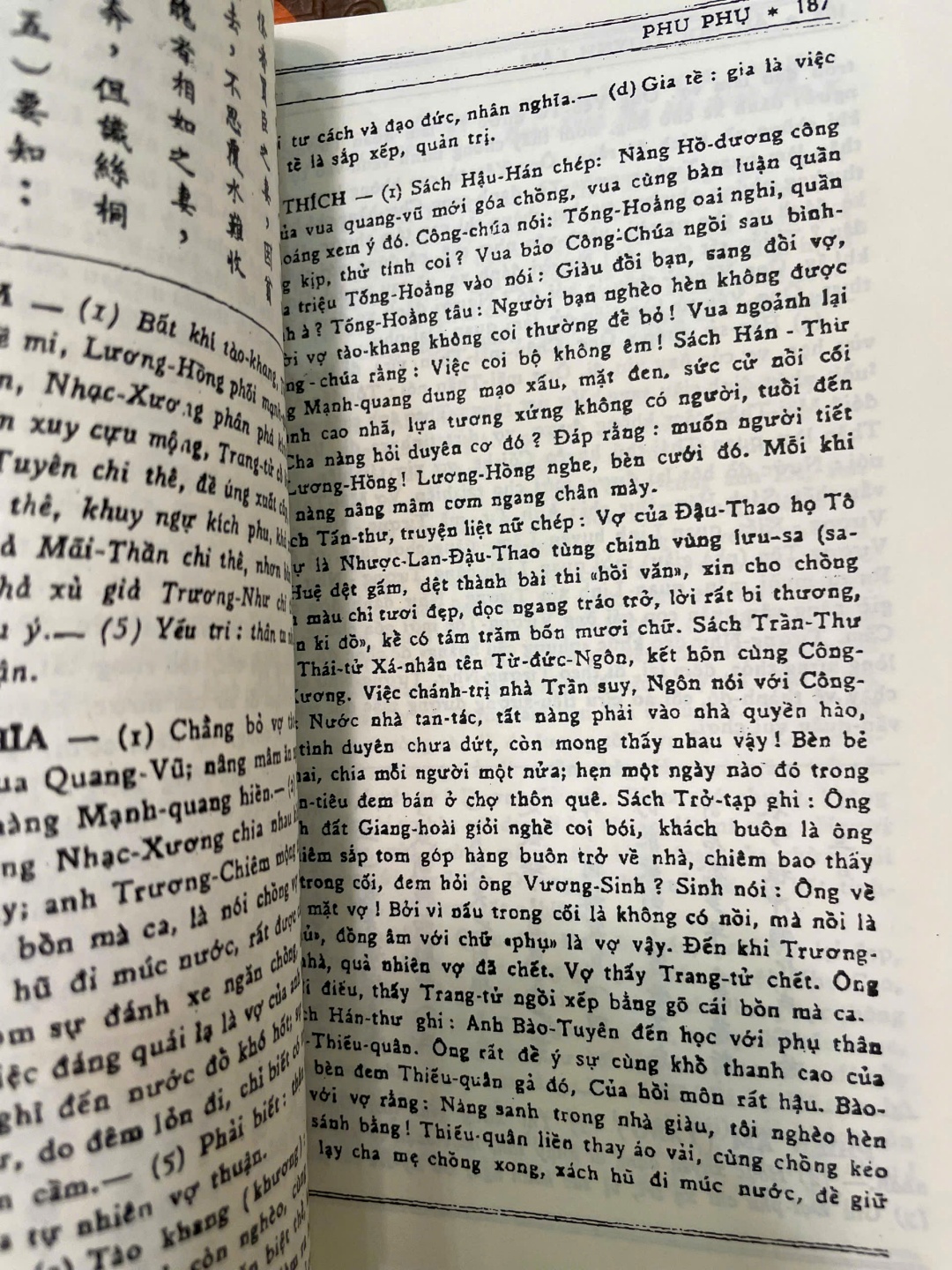 Ấu Học Quỳnh Lâm - Ảnh 5