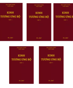 Kinh Tương Ưng Bộ (5 cuốn) – Hòa thượng Thích Minh Châu
