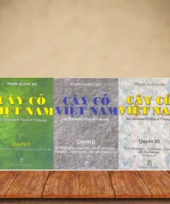 Cây Cỏ Việt Nam (Bộ 3 quyển) – Phạm Hoàng Hộ
