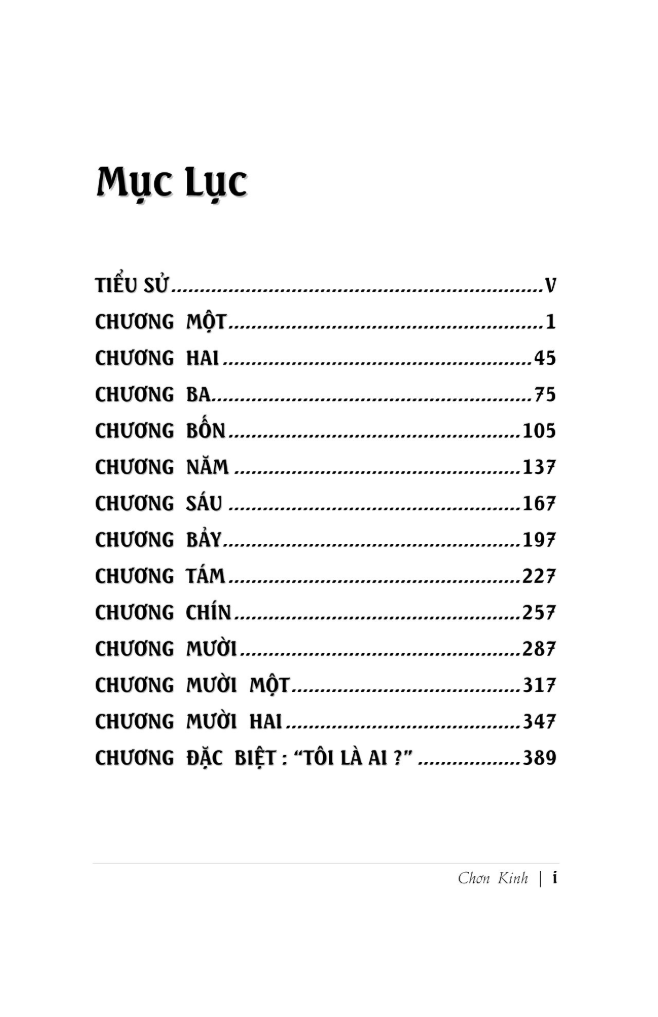 Chơn Kinh (Vô Vi) – Lương Sĩ Hằng (Vĩ Kiên) - Ảnh 4