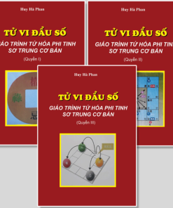 Combo Tử vi đẩu số Phi tinh - Lương Nhược Du Phái (Bộ 3 tập)