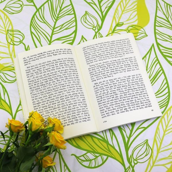 Dương án Âm án – Hải Thượng Lãn Ông - Ảnh 4