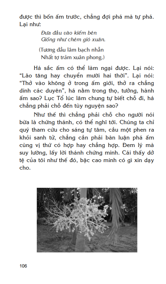 Mộng Du Tập – Thiền Sư Hám Sơn - Ảnh 4