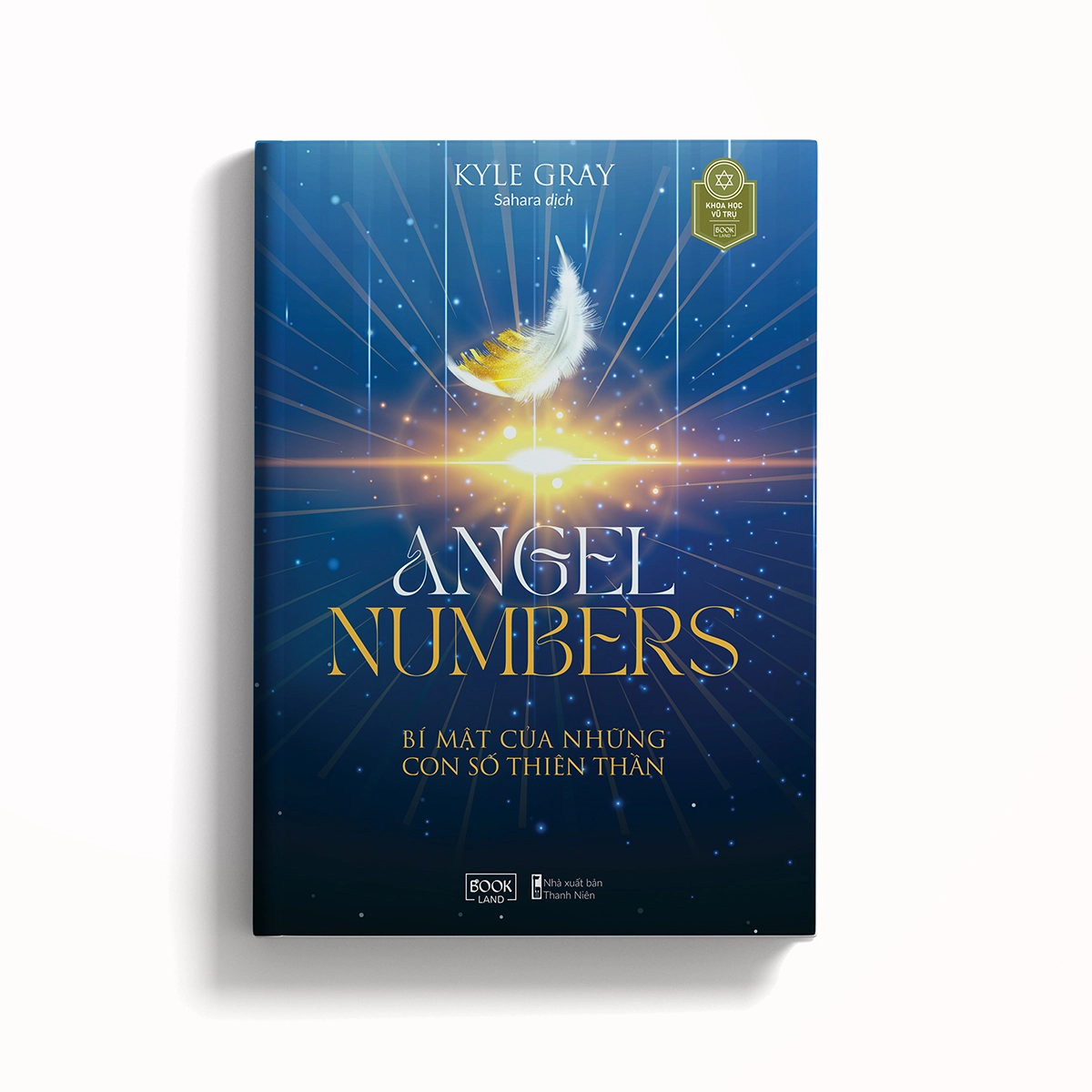 Angel Numbers – Bí Mật Của Những Con Số Thiên Thần