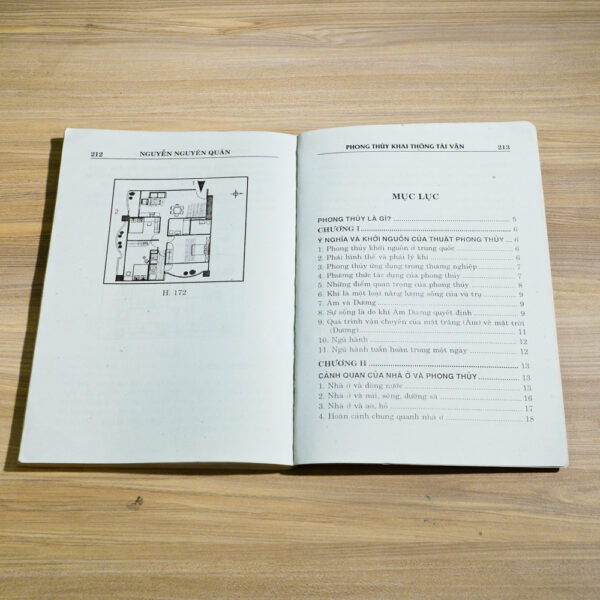 Phong Thủy Khai Thông Tài Vận – Nguyễn Nguyên Quân - Ảnh 9