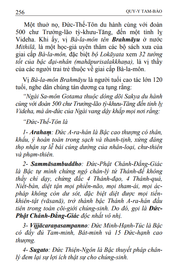 Nền Tảng Phật Giáo Tập 2 – Quy Y Tam Bảo – Tỳ Khưu Hộ Pháp - Ảnh 2