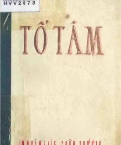 Tố Tâm - Song An
