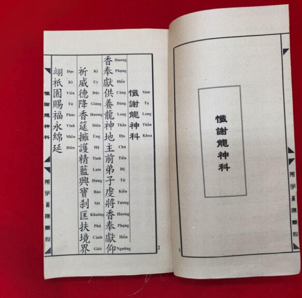 Lễ Sám Đức Ông Bán Khoán Song Ngữ - Ảnh 4