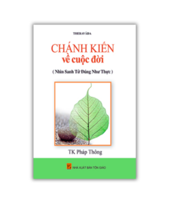 Chánh Kiến Về Cuộc Đời – TK Pháp Thông dịch
