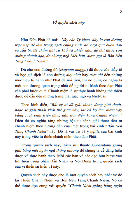 Thiền Phật Giáo Chánh Niệm Qua Ngôn Ngữ Thông Thường (Bốn Nền Tảng Chánh Niệm) - Ảnh 2