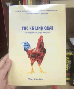 Túc Kê Linh Quái – Trần Đình Niêm – 1996