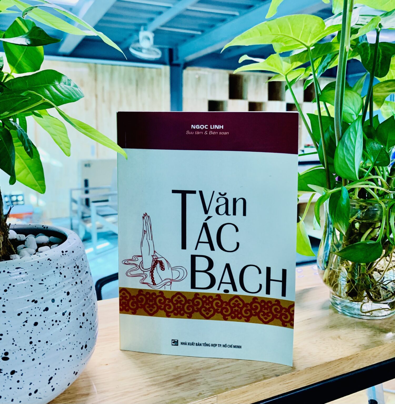 Văn Tác Bạch – Ngọc Linh
