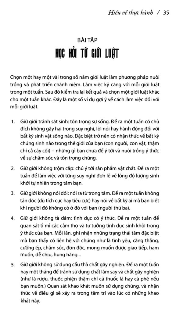 Thiền Quán Con Đường Của Tuệ Giác - Ảnh 6