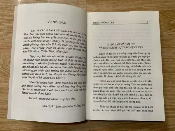 Can Chi Thông Luận - Ảnh 3