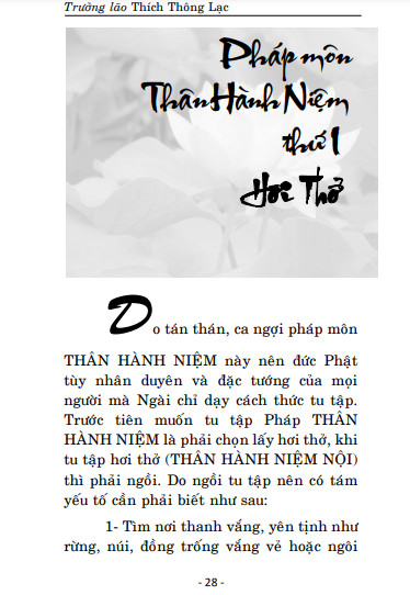 Muốn Chứng Đạo Phải Tu Pháp Môn Nào – Trưởng Lão Thích Thông Lạc - Ảnh 3
