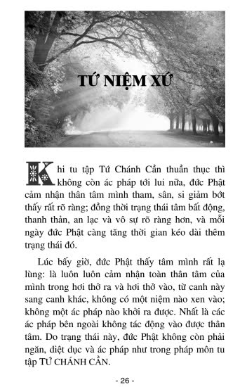 Pháp Tu Của Phật Làm Chú Sinh Già Bệnh Chết – Trưởng lão Thích Thông Lạc - Ảnh 2