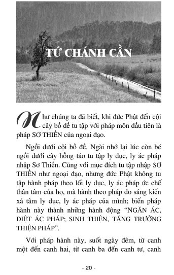 Pháp Tu Của Phật Làm Chú Sinh Già Bệnh Chết – Trưởng lão Thích Thông Lạc - Ảnh 3