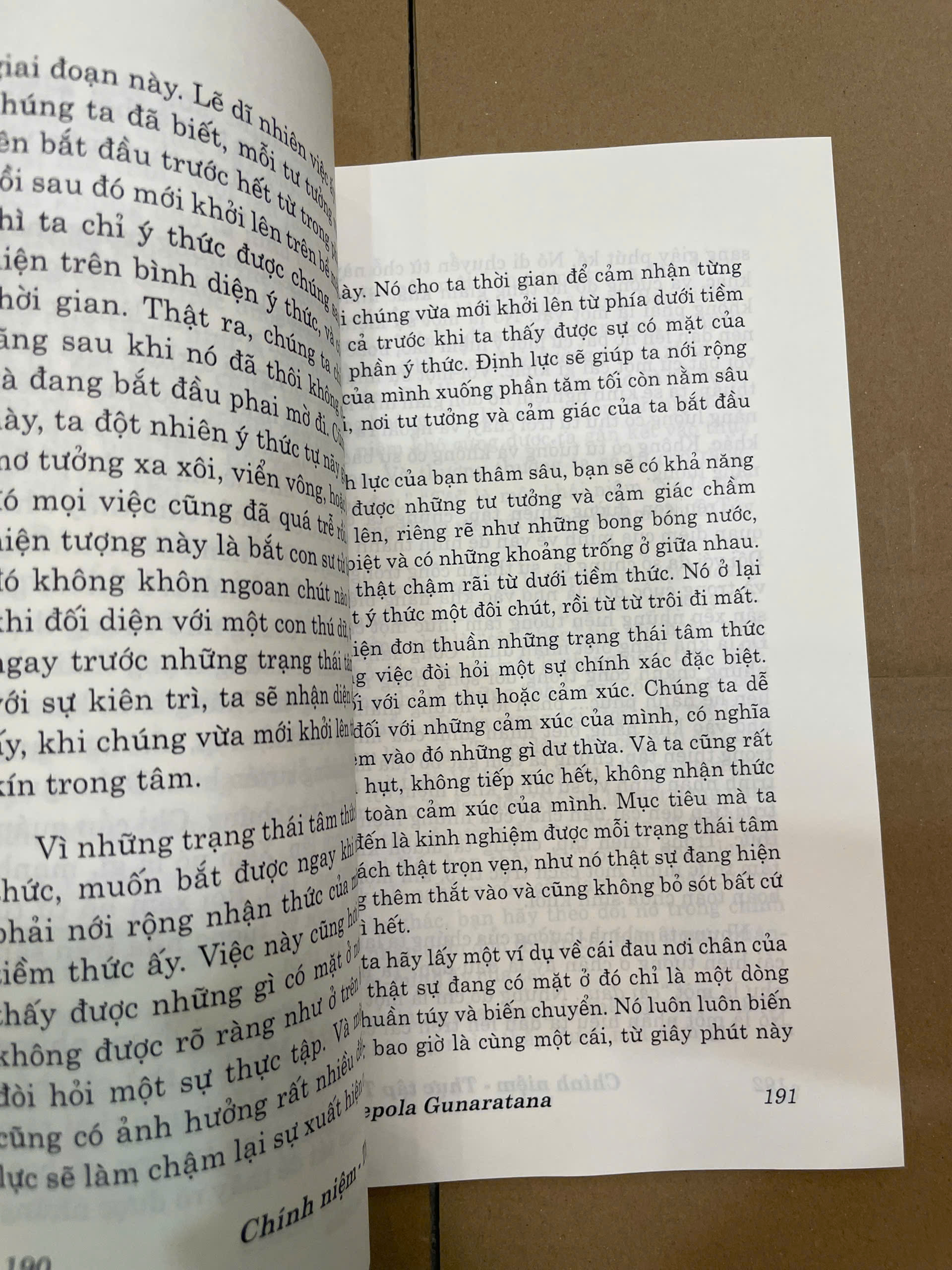 Chính Niệm Thực Tập Thiền Quán – Nguyễn Duy Nhiên dịch - Ảnh 5