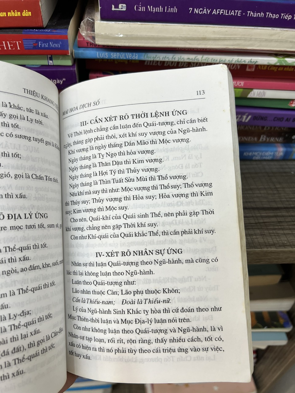 Mai Hoa Dịch Số - Thiệu Khang Tiết - Ảnh 3