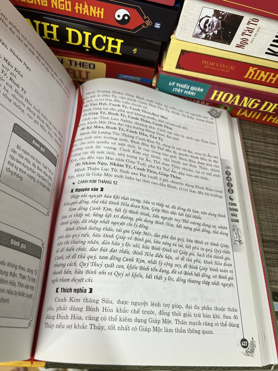 Cùng Thông Bảo Giám - Uyên Hải Tử Bình - Ảnh 3