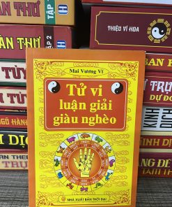 Tử Vi Luận Giải Giàu Nghèo - Mai Vương Vĩ