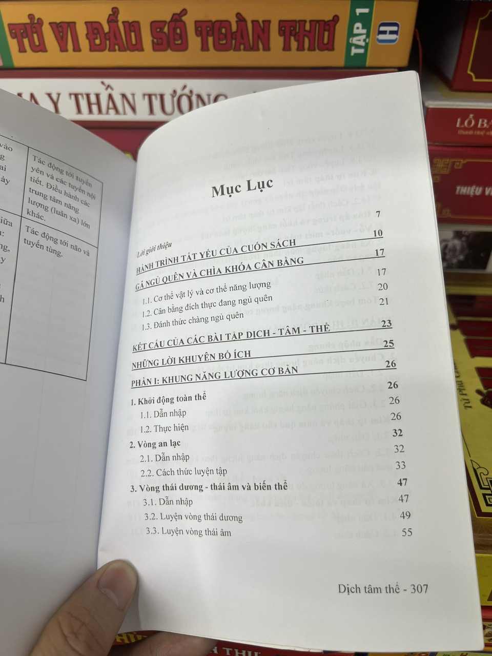 Dịch Tâm Thể - Trịnh Thắng - Ảnh 2