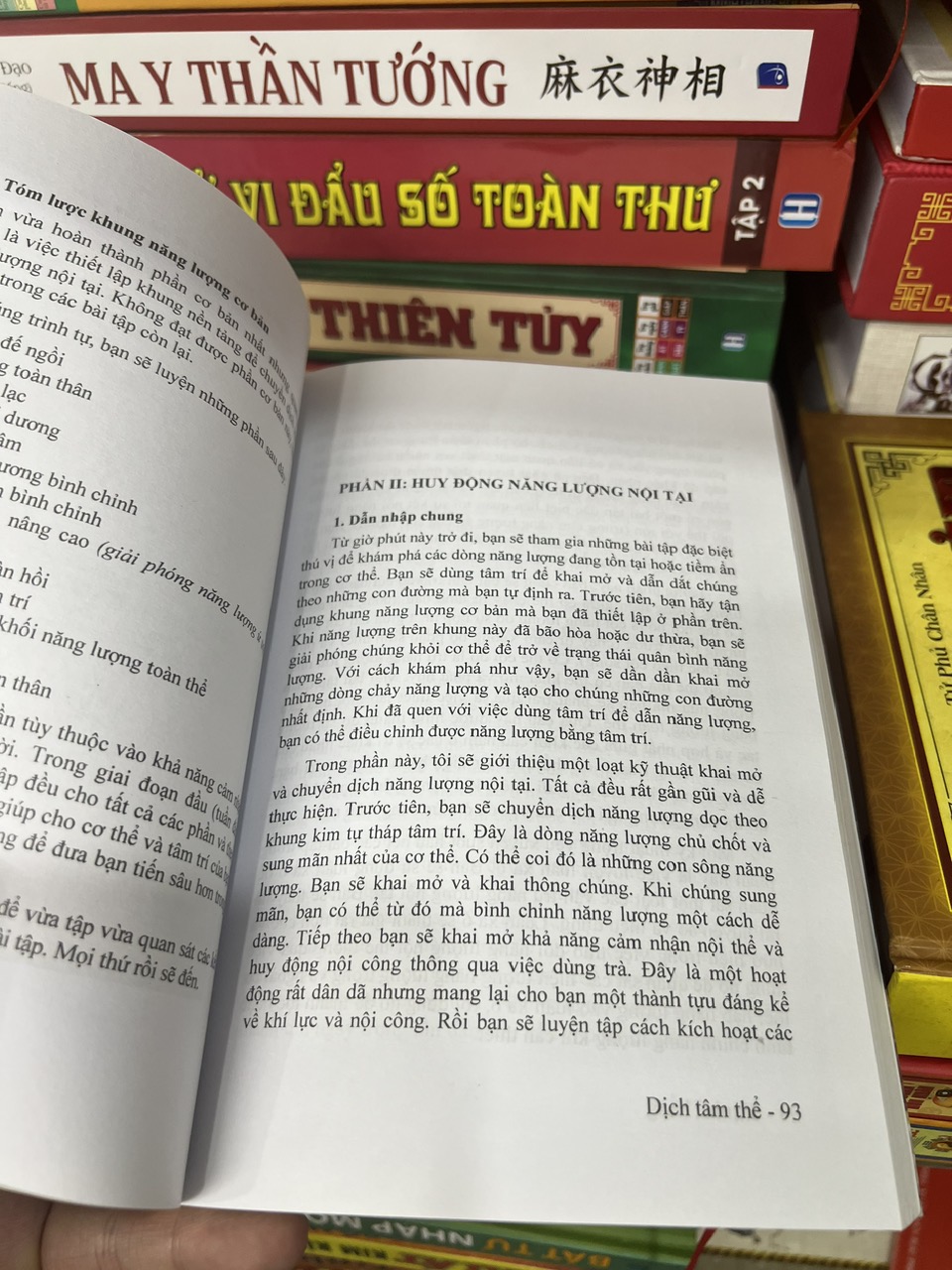 Dịch Tâm Thể - Trịnh Thắng - Ảnh 3